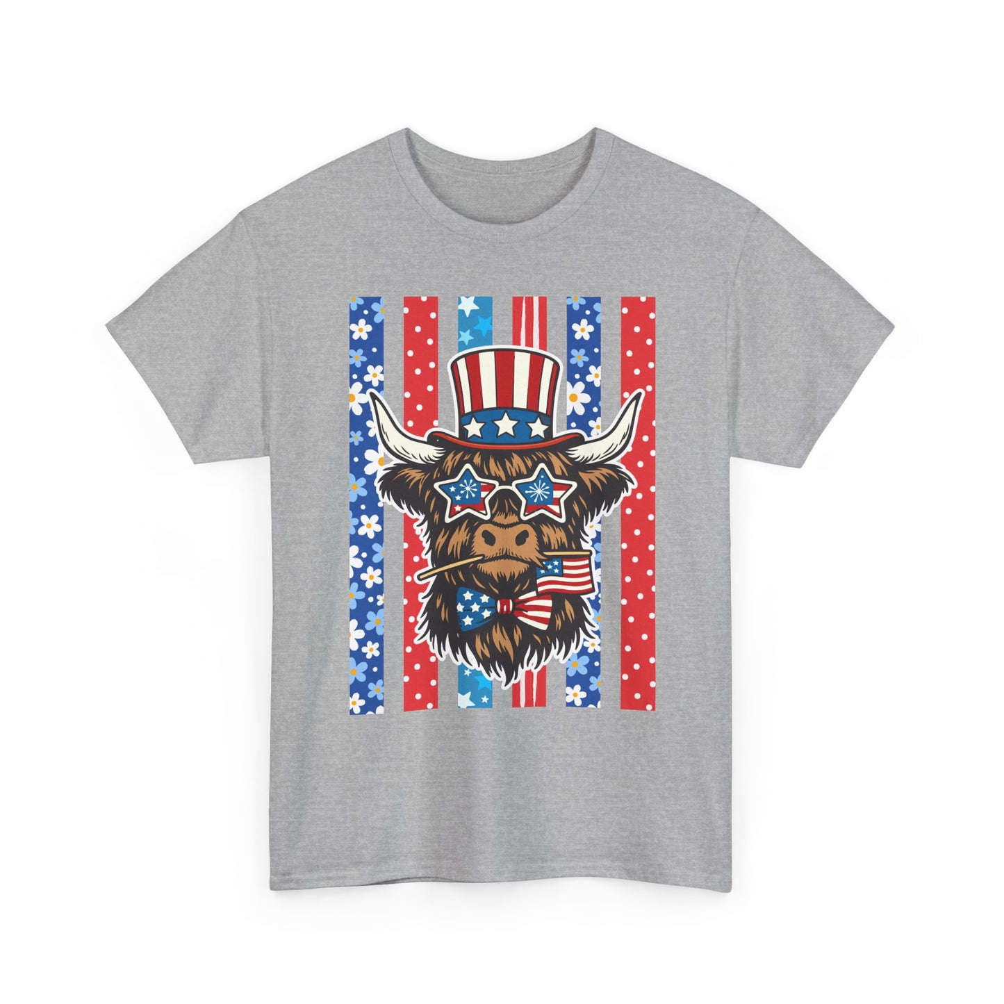 American Flag Western Tee (Stars & Stripes)