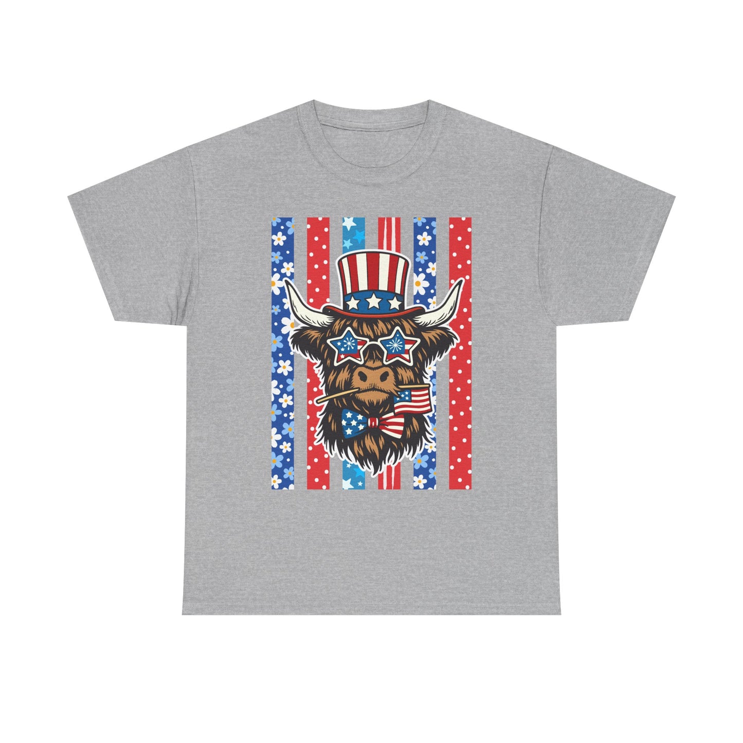 American Flag Western Tee (Stars & Stripes)