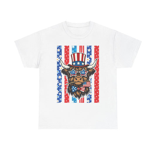 American Flag Western Tee (Stars & Stripes)