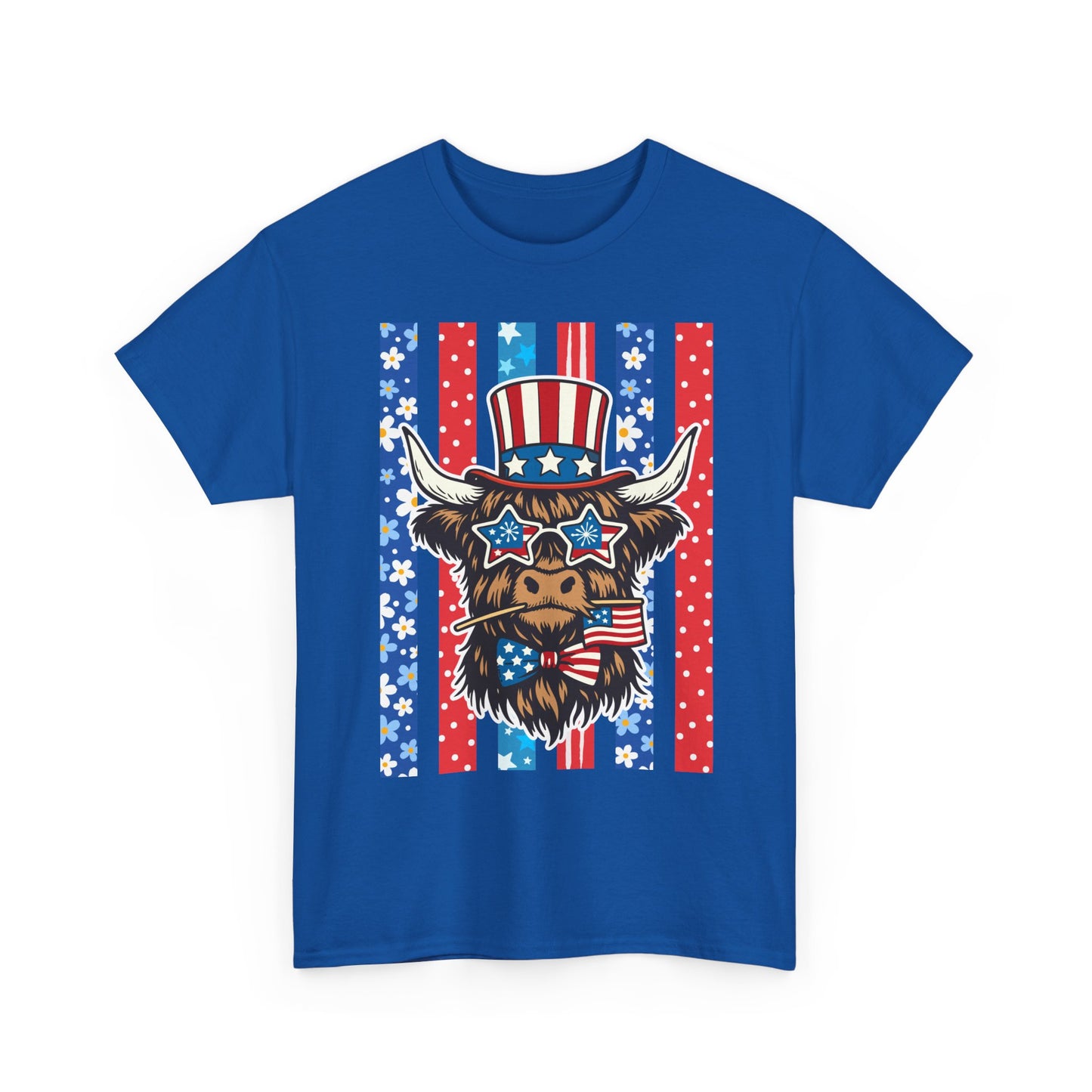 American Flag Western Tee (Stars & Stripes)